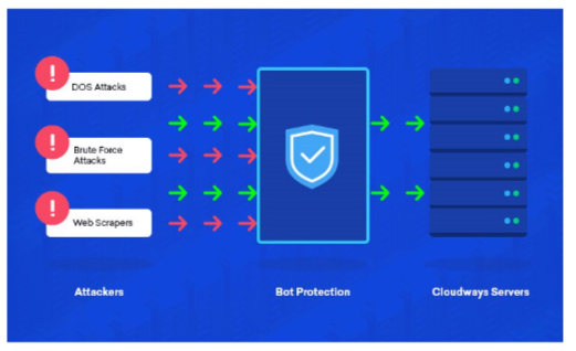 Bot Protection